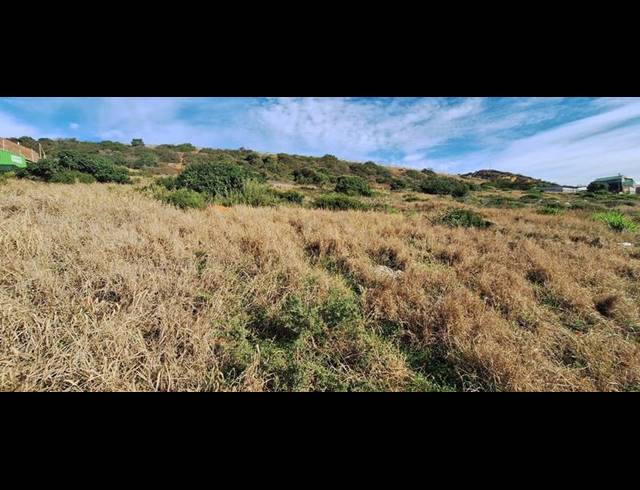 BUSINESS FOR SALE IN VOORBAAI